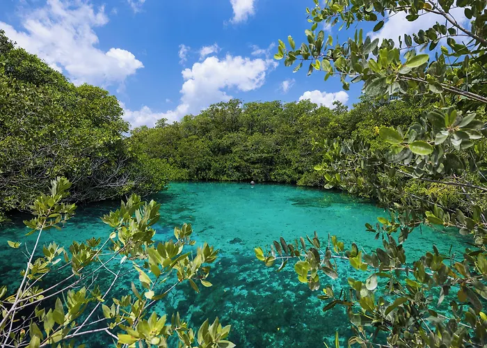 Hotel Casa Cenote 4*